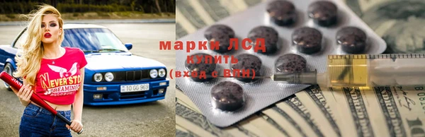 прущие грибы Горняк