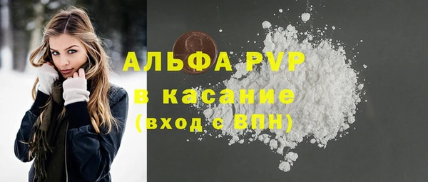 прущие грибы Горняк