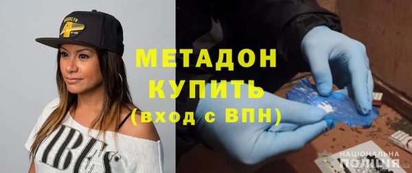 прущие грибы Горняк