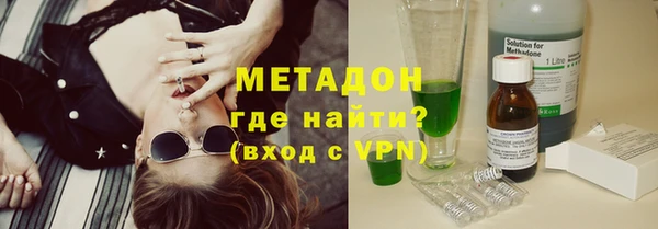 прущие грибы Горняк