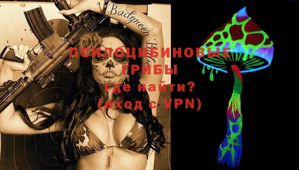 амф Горнозаводск