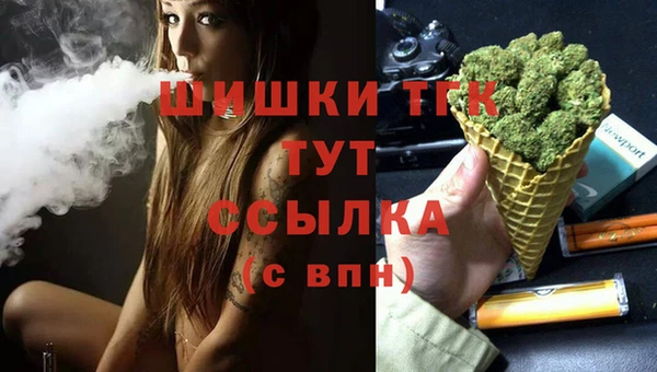 прущие грибы Горняк