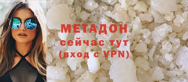 прущие грибы Горняк