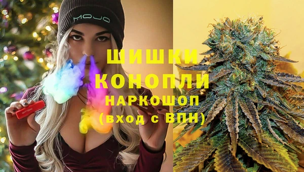 прущие грибы Горняк