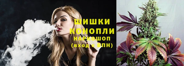 прущие грибы Горняк