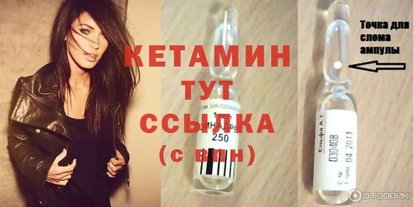 прущие грибы Горняк
