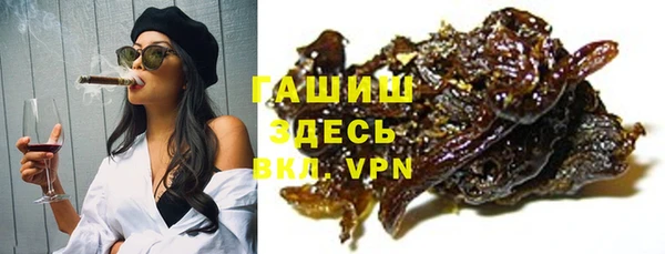 прущие грибы Горняк