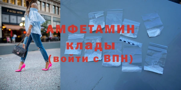 прущие грибы Горняк
